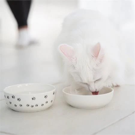 Kattens matplass - A-Vet Shop