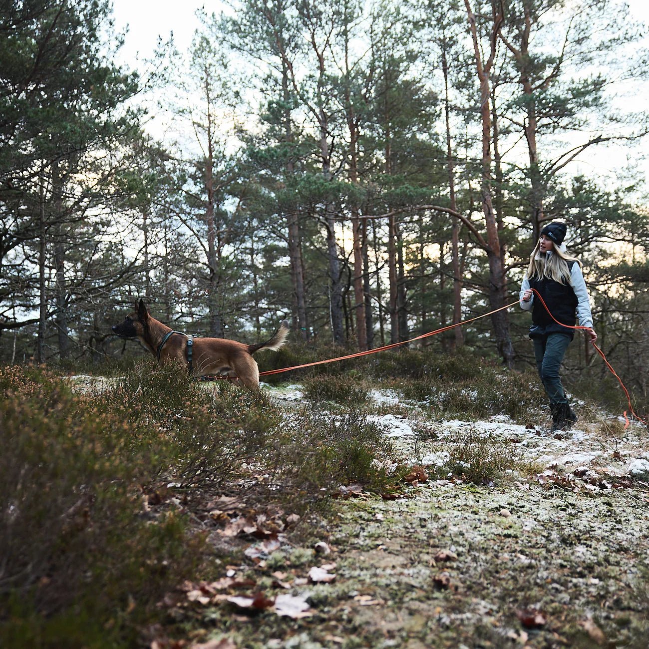 Langline, sporline og løpestreng til hund - A-Vet Shop