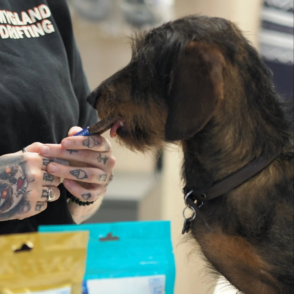 Tanntygg til hund - A-Vet Shop