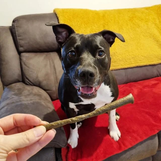 JR Pure Seabass Sticks - A - Vet Shop