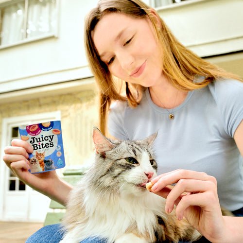 Juicy Cat Bites Chicken and Tuna Flavor - A - Vet Shop