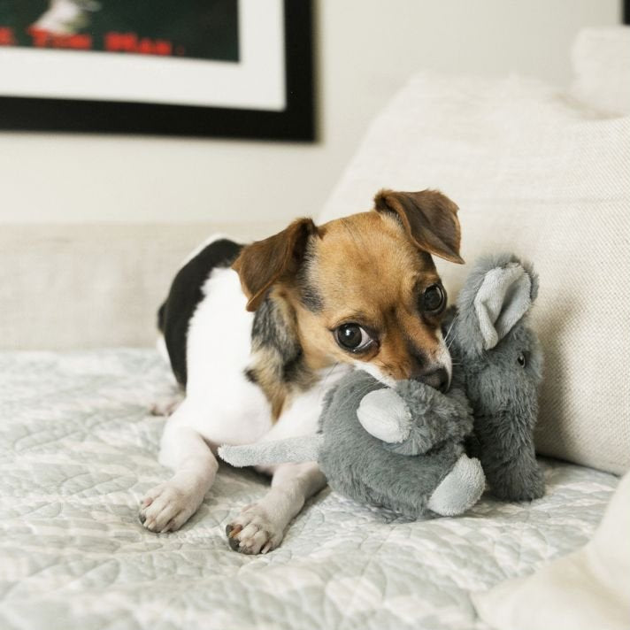KONG Comfort Kiddos Elephant - A - Vet Shop