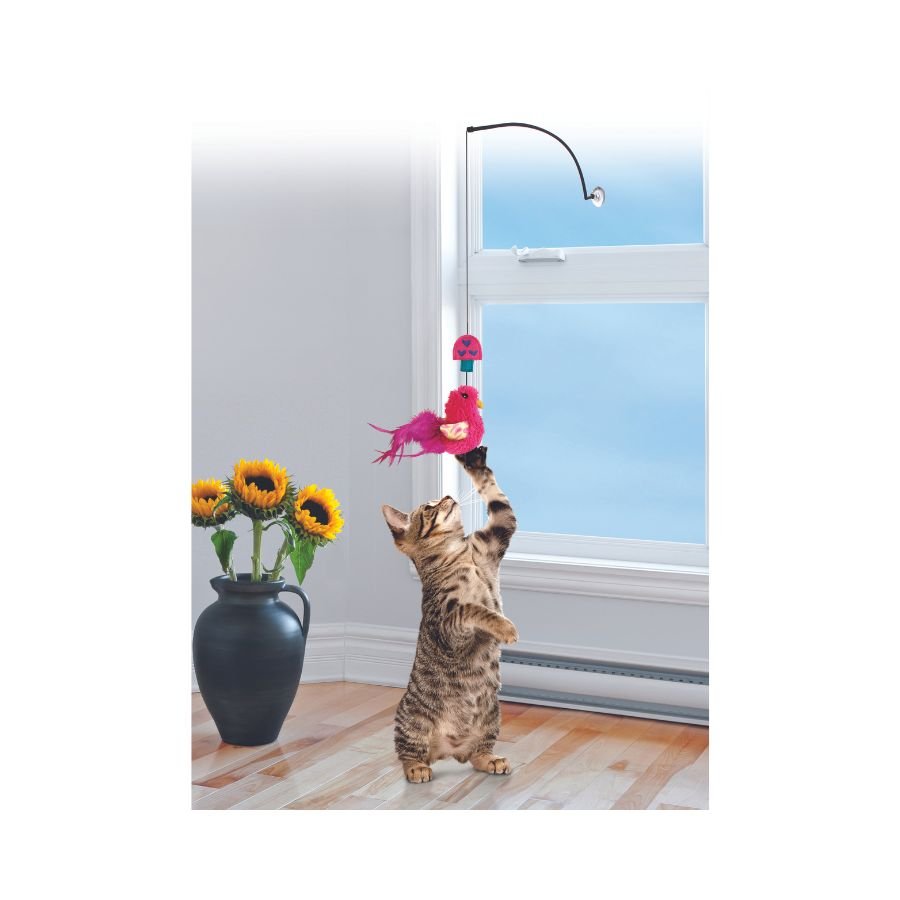 KONG Connects Window Teaser - A - Vet Shop