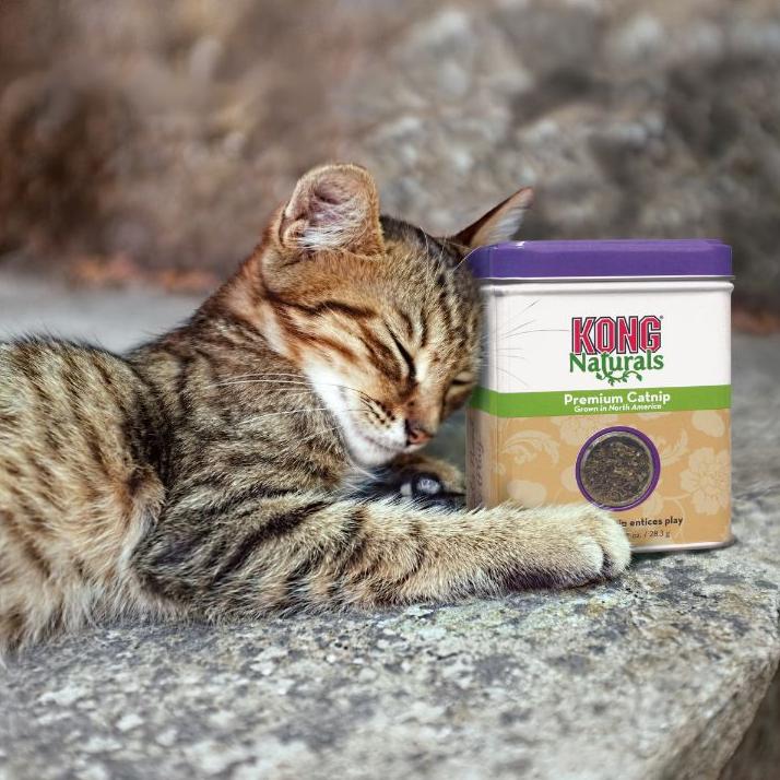 KONG Naturals Premium Kattemynte - A - Vet Shop