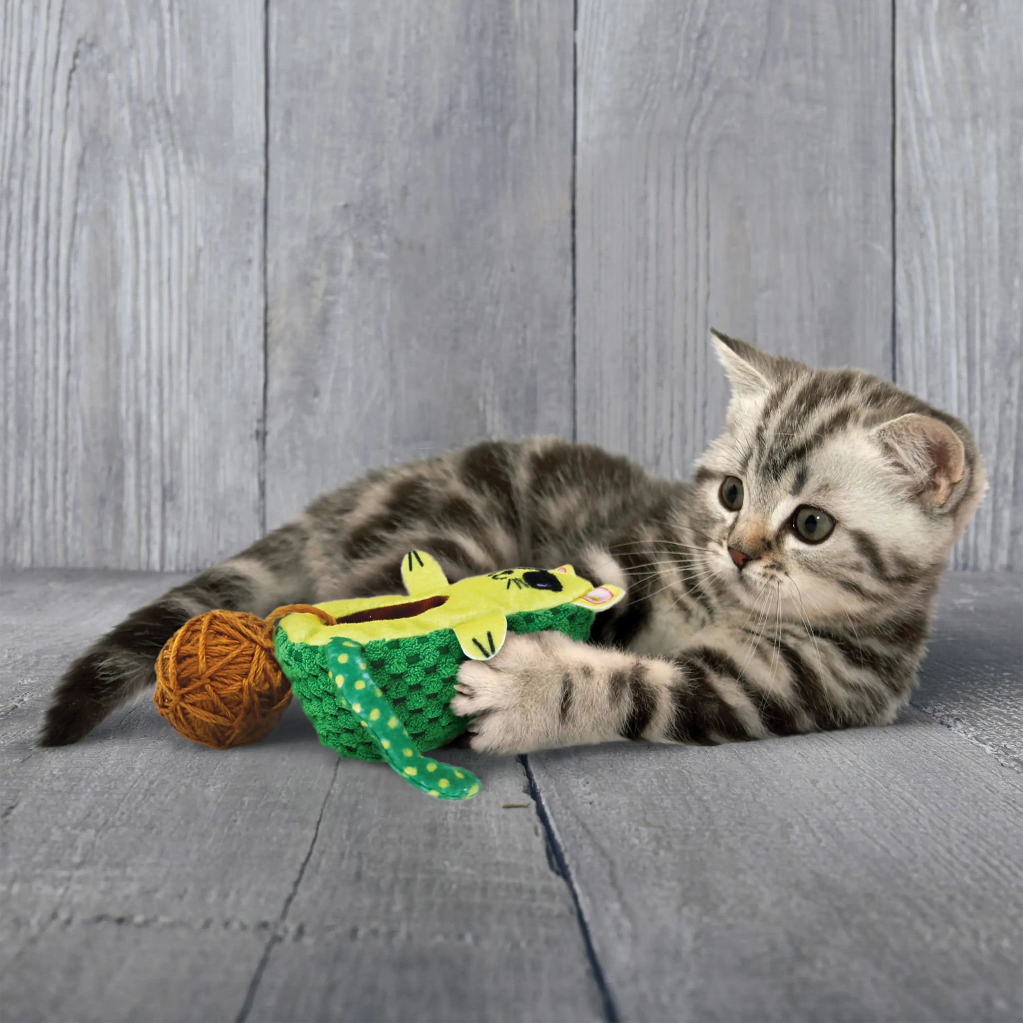 KONG Wrangler AvoCato - A - Vet Shop