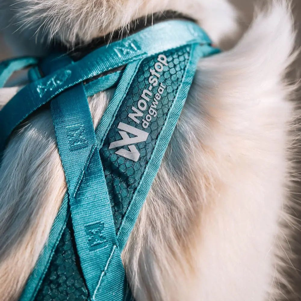 Non - stop Rush harness - A - Vet Shop