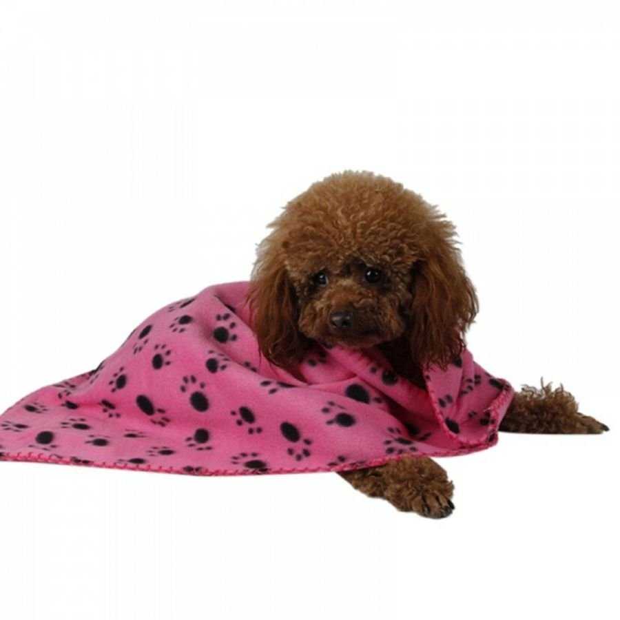 Pawsome Fleeceteppe med potemønster - A - Vet Shop
