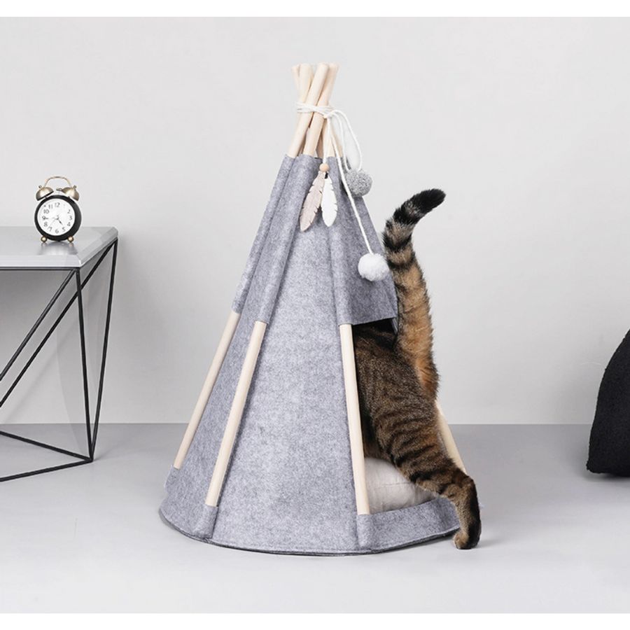 Pawsome Tipitelt - A - Vet Shop