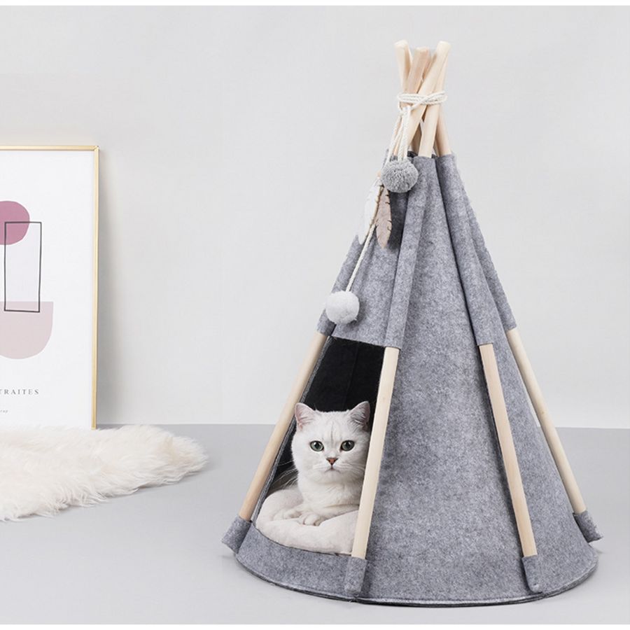 Pawsome Tipitelt - A - Vet Shop