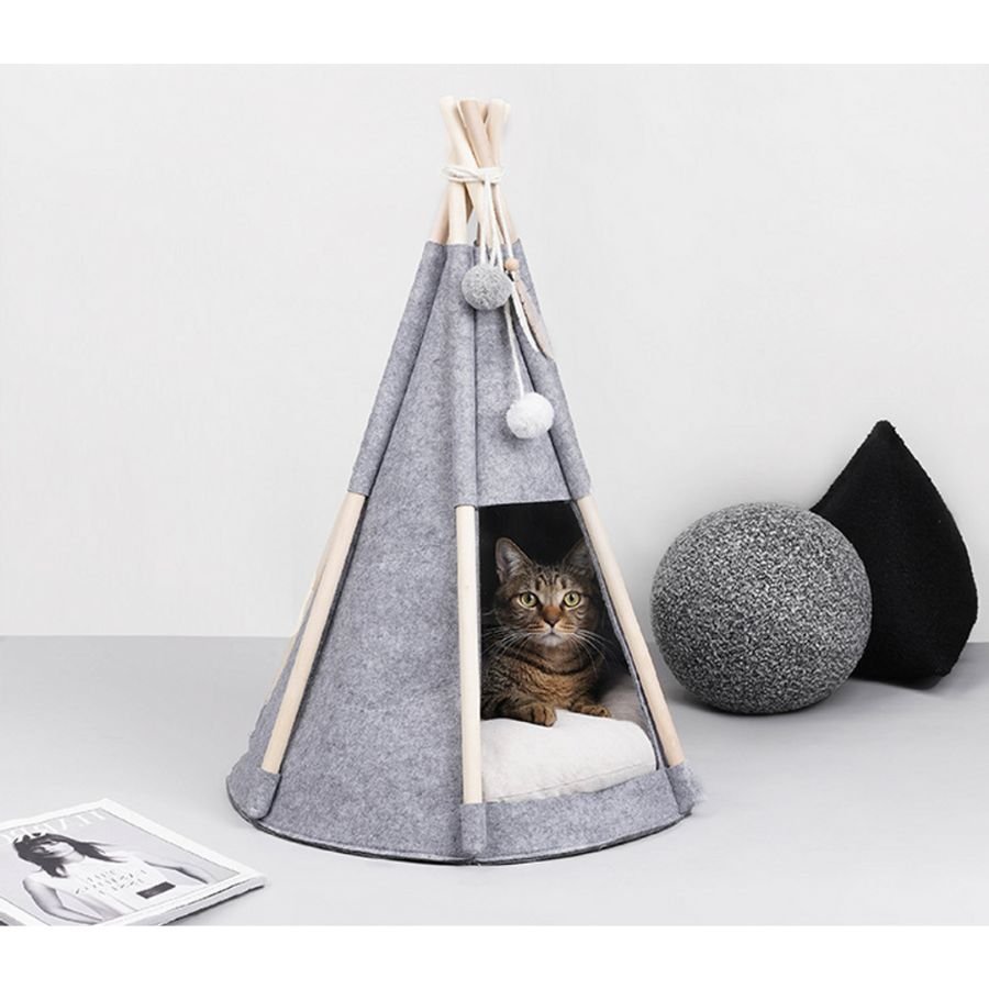 Pawsome Tipitelt - A - Vet Shop