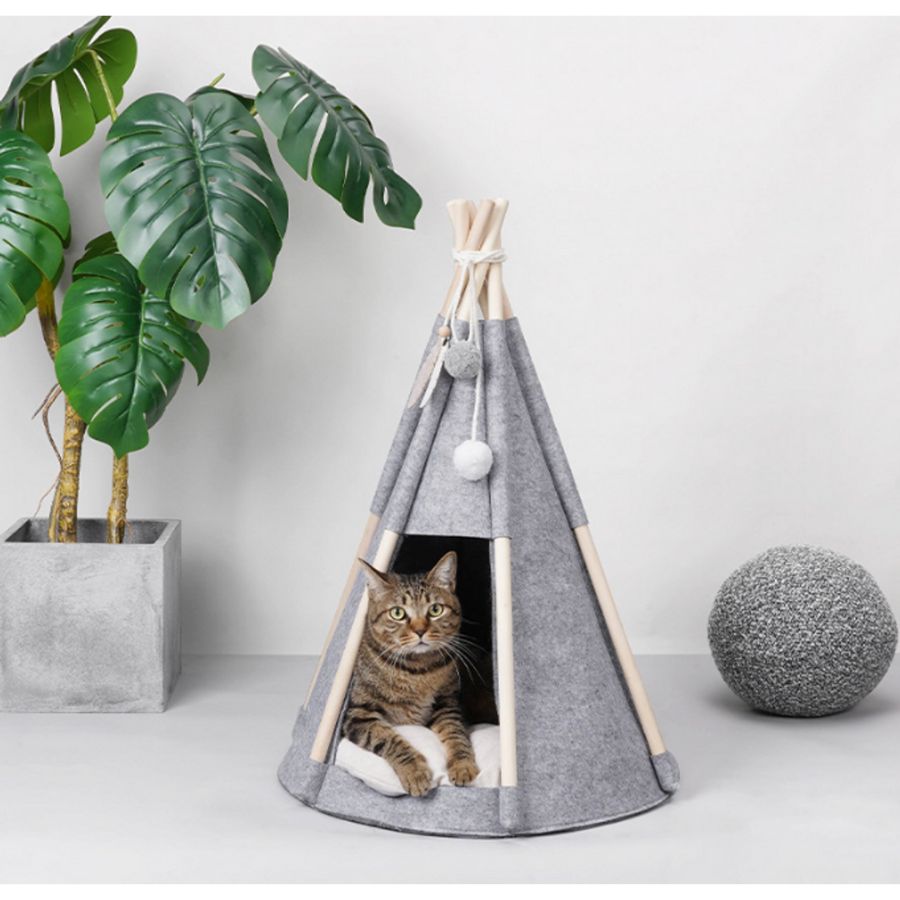 Pawsome Tipitelt - A - Vet Shop