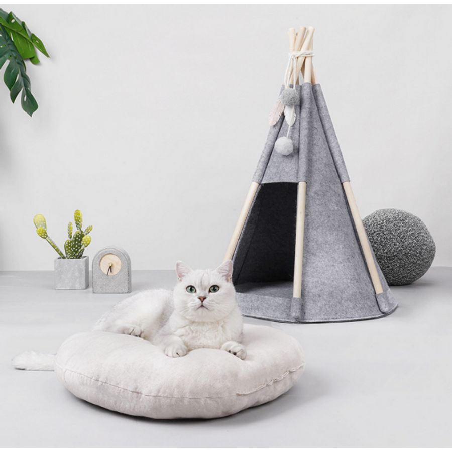 Pawsome Tipitelt - A - Vet Shop