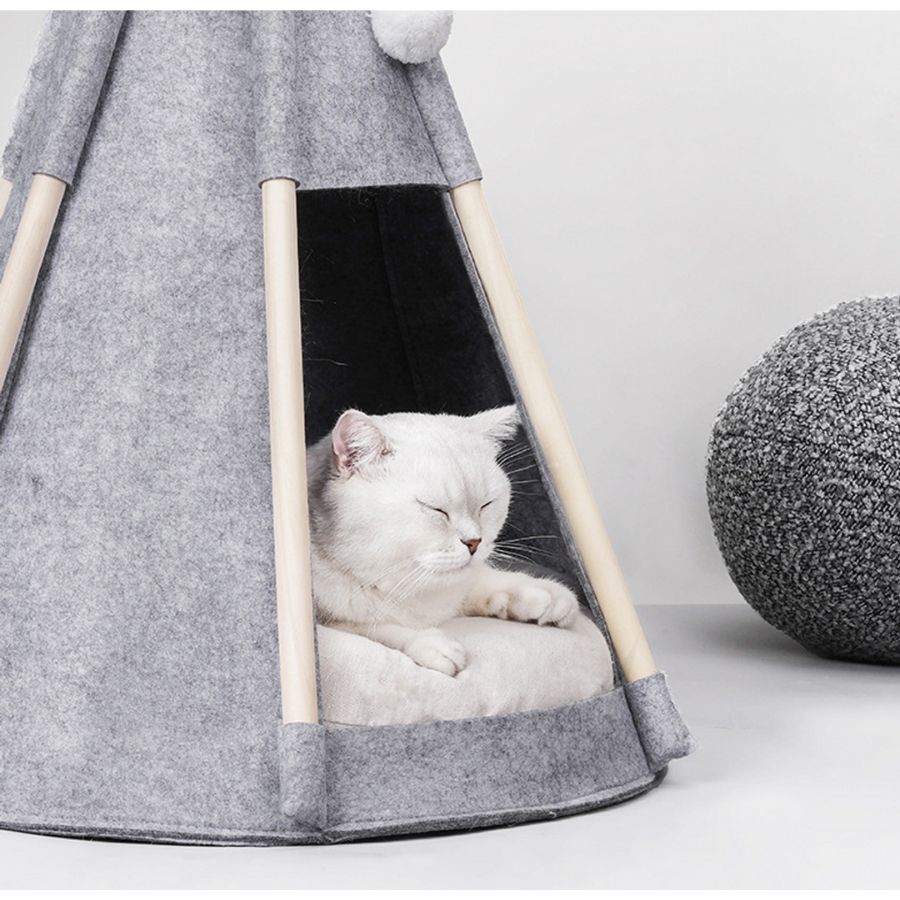 Pawsome Tipitelt - A - Vet Shop