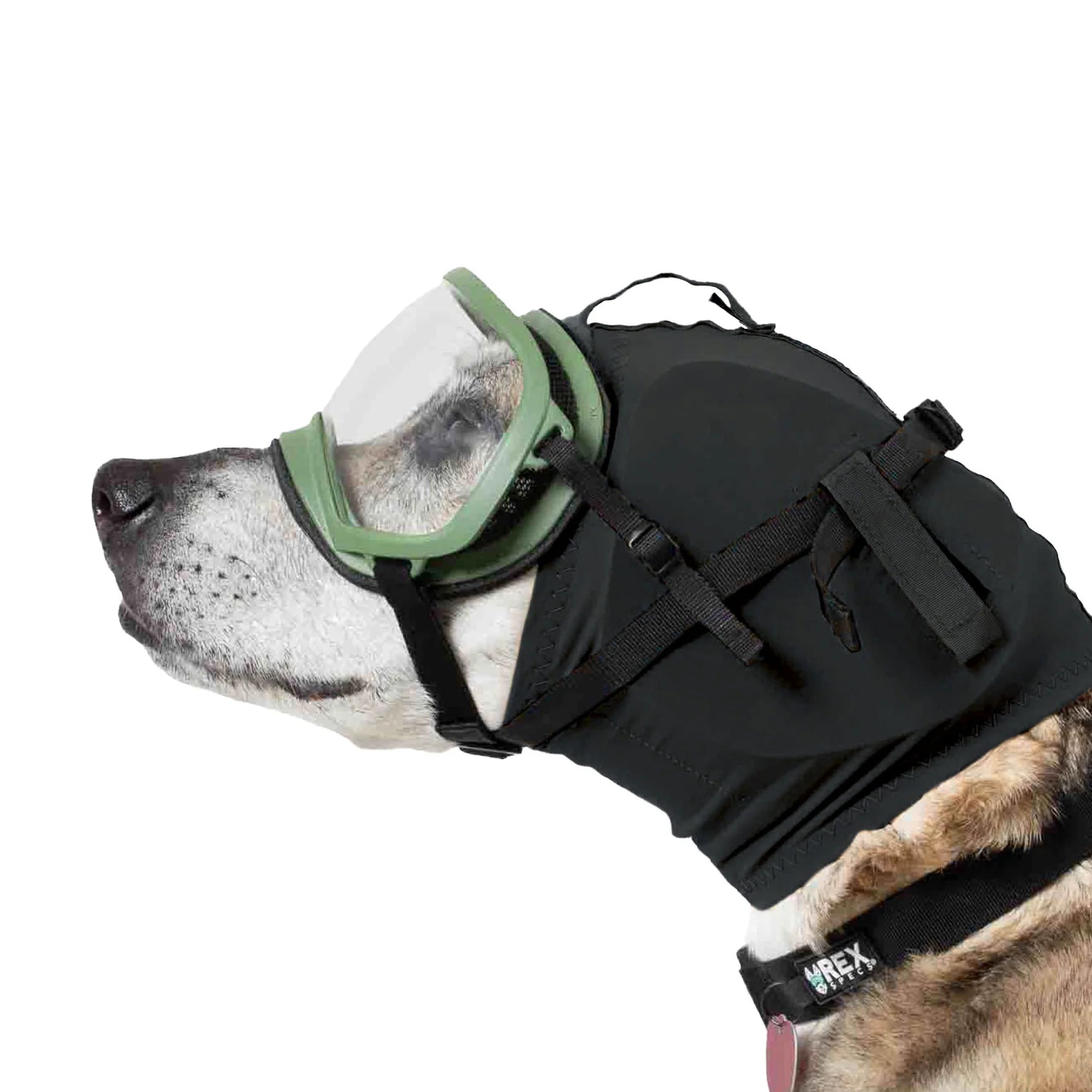 Rex Specs Ear Pro - Ørebeskyttelse - A - Vet Shop