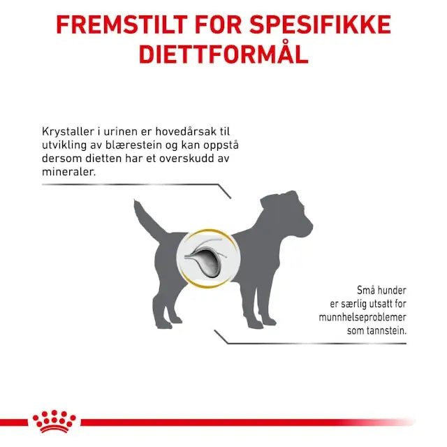 Royal Canin Urinary S/O Small Dog - A - Vet Shop