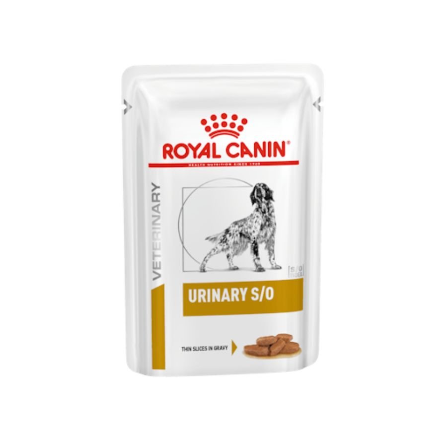 Royal Canin Urinary S/O Wet Chunks In Gravy Pouch Dog 12x100g - A - Vet Shop