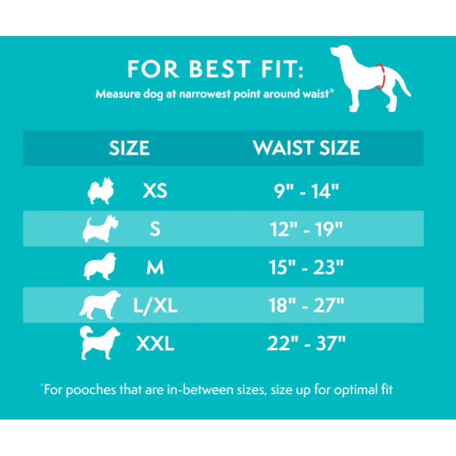 Simple Solution Vaskbart Magebånd til Hannhund - A - Vet Shop