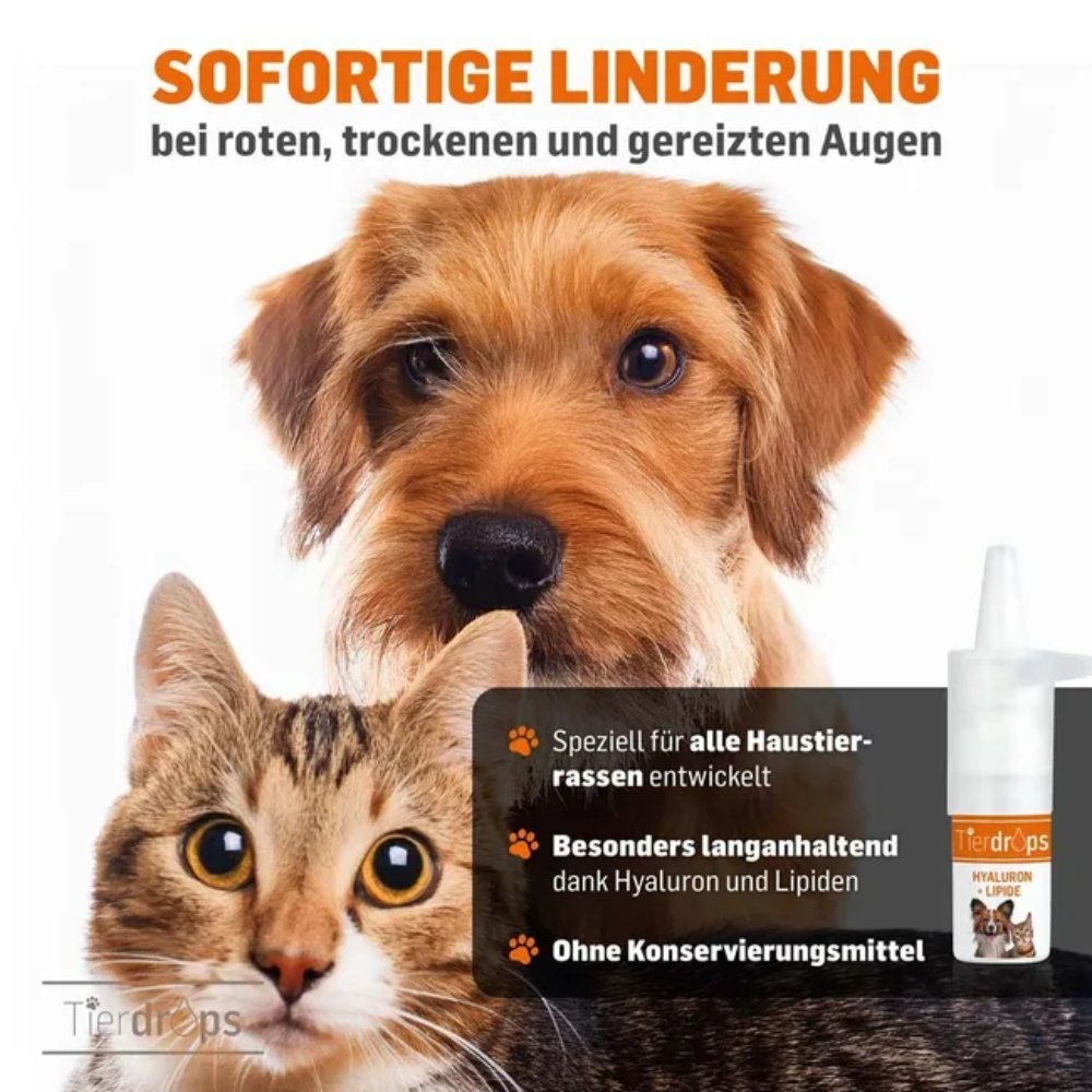 Tierdrops Hyaluron+Lipide - Øyeprodukter (10 ml) fra INNOMEDIS AG | Kjøp hos A - Vet Shop