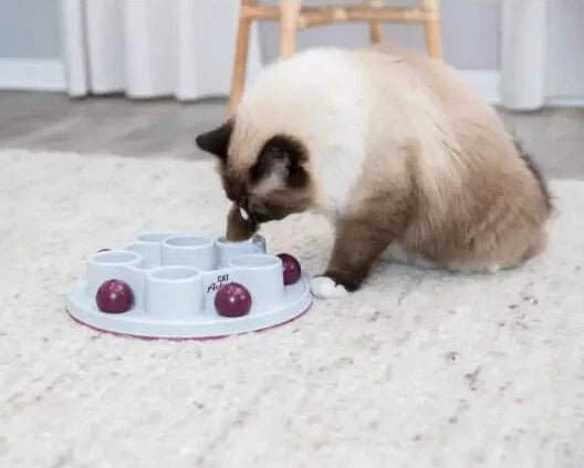 Trixie Cat Activity Pentagon Strategy Game - A - Vet Shop