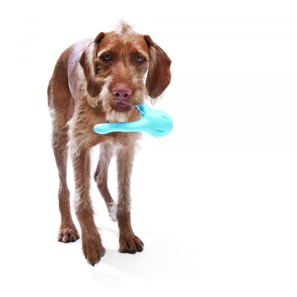 West Paw Tizzi - A - Vet Shop