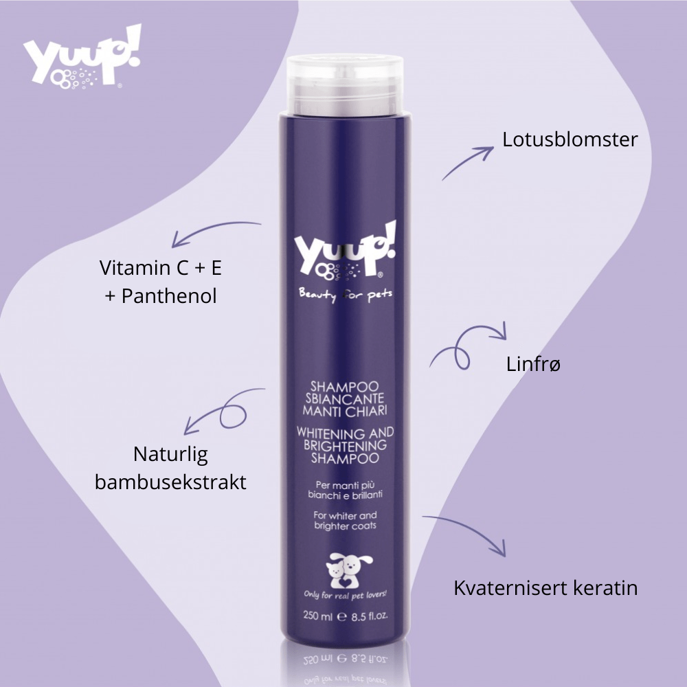 Yuup! Whitening And Brightening Shampoo - Shampoo & Pleieprodukter () fra Yuup | Kjøp hos A - Vet Shop