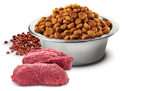 Farmina N&D Quinoa Skin & Coat Venison Adult Medium/Maxi - A - Vet Shop