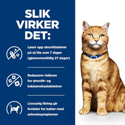 Hill's Prescription Diet Feline c/d Multicare Chicken - A - Vet Shop