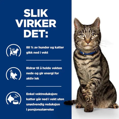 Hill's Prescription Diet Feline Metabolic - A - Vet Shop