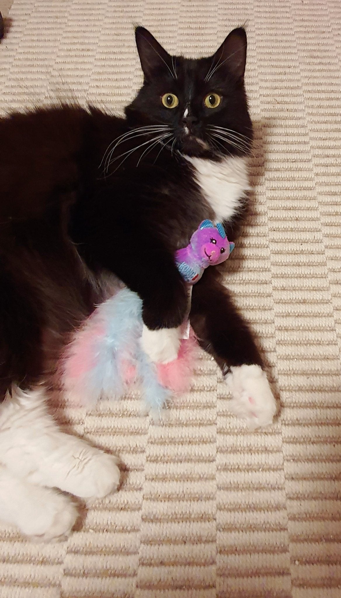 KONG Wubba Caticorn - A - Vet Shop