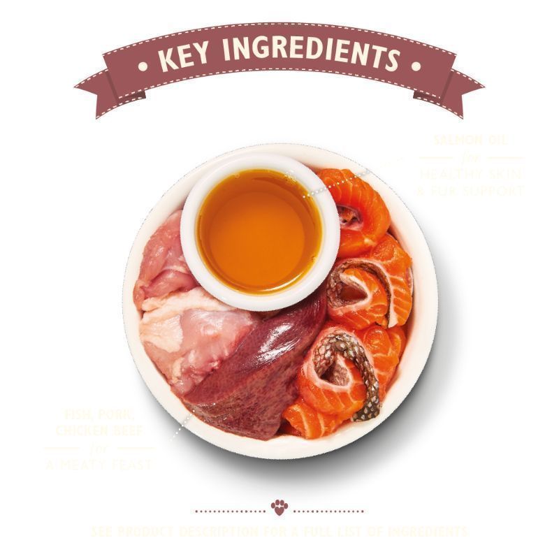 Lily's Kitchen Organic Fish Paté - A - Vet Shop