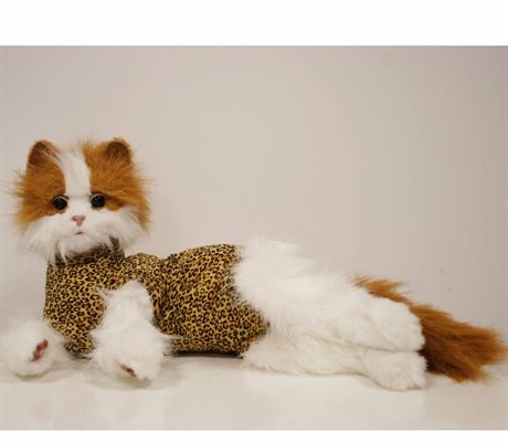 MPS Body til Katt - A - Vet Shop