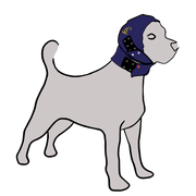 MPS Head Cover - A - Vet Shop