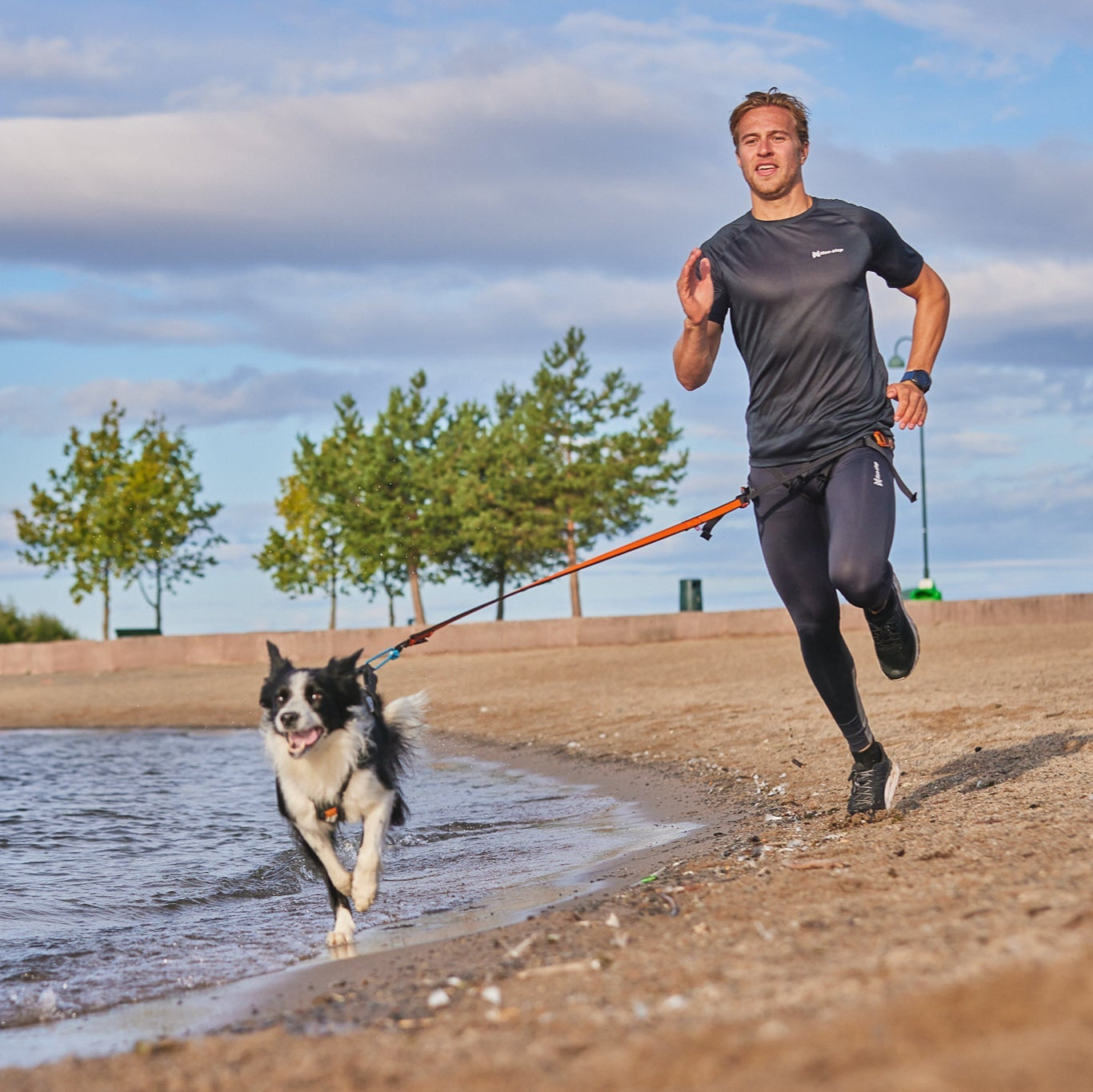 Non - stop Bungee Leash - A - Vet Shop