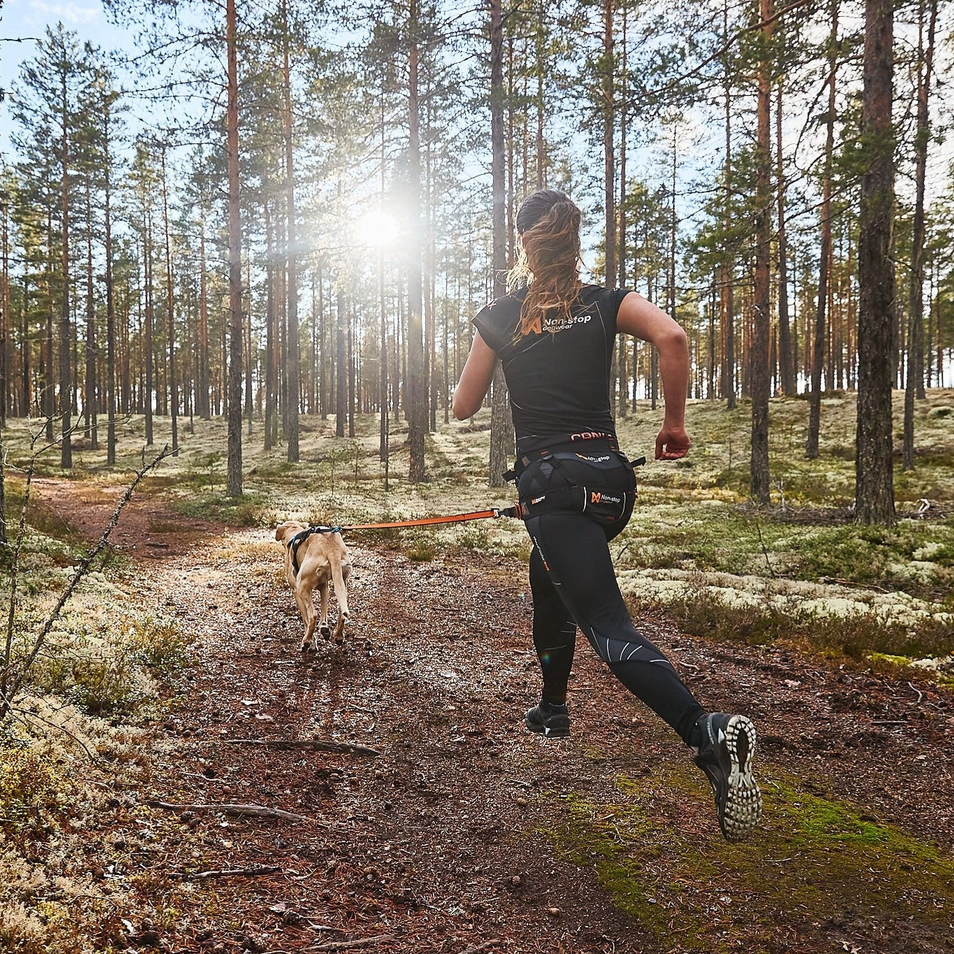 Non - stop CaniX belt - A - Vet Shop