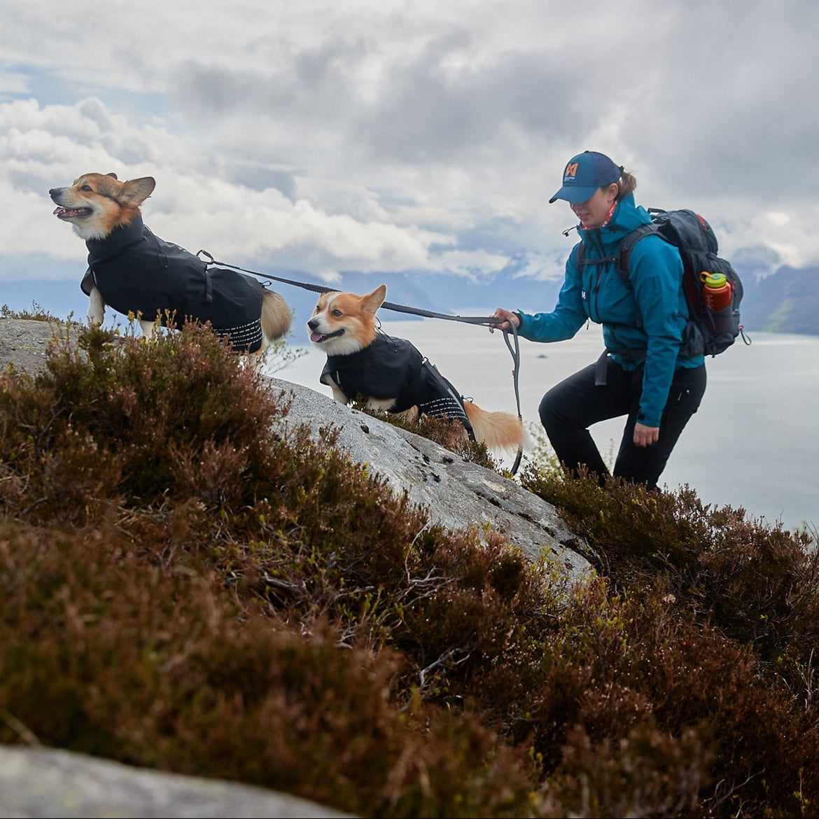 Non - stop Fjord Raincoat - A - Vet Shop