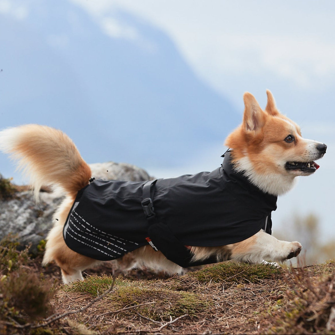 Non - stop Fjord Raincoat - A - Vet Shop