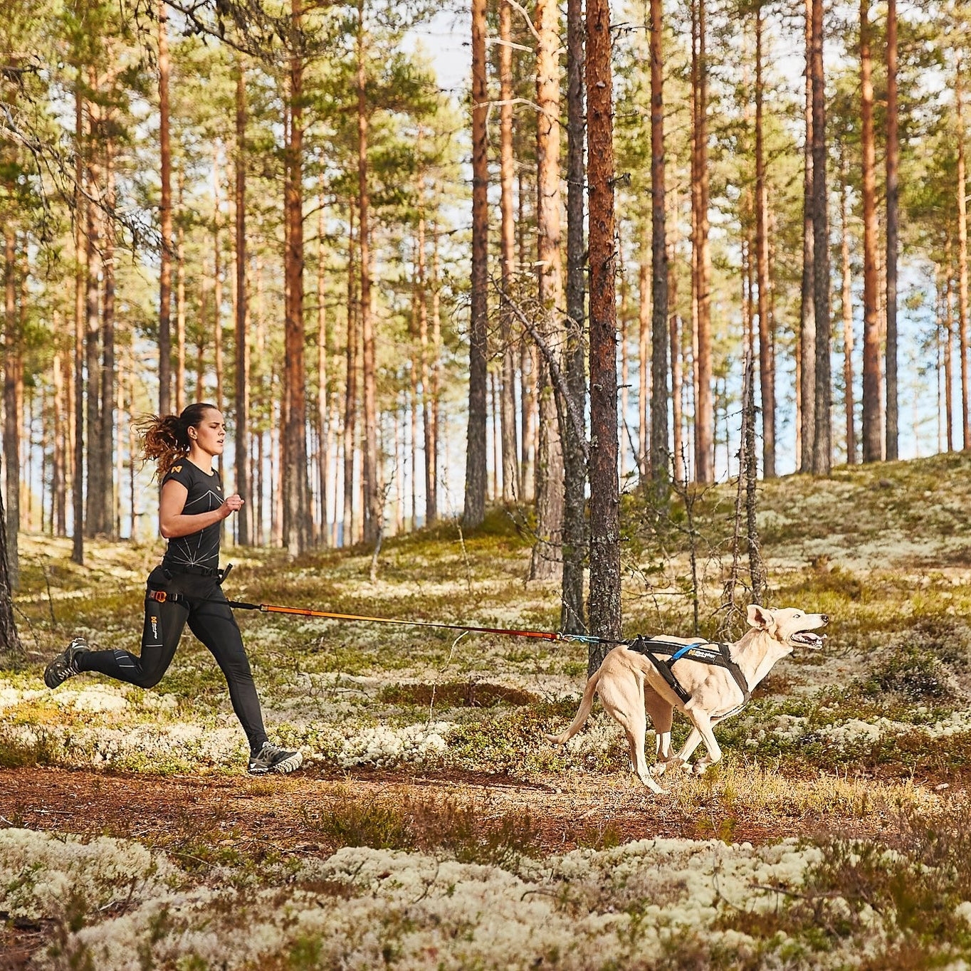 Non - stop Freemotion Harness - A - Vet Shop