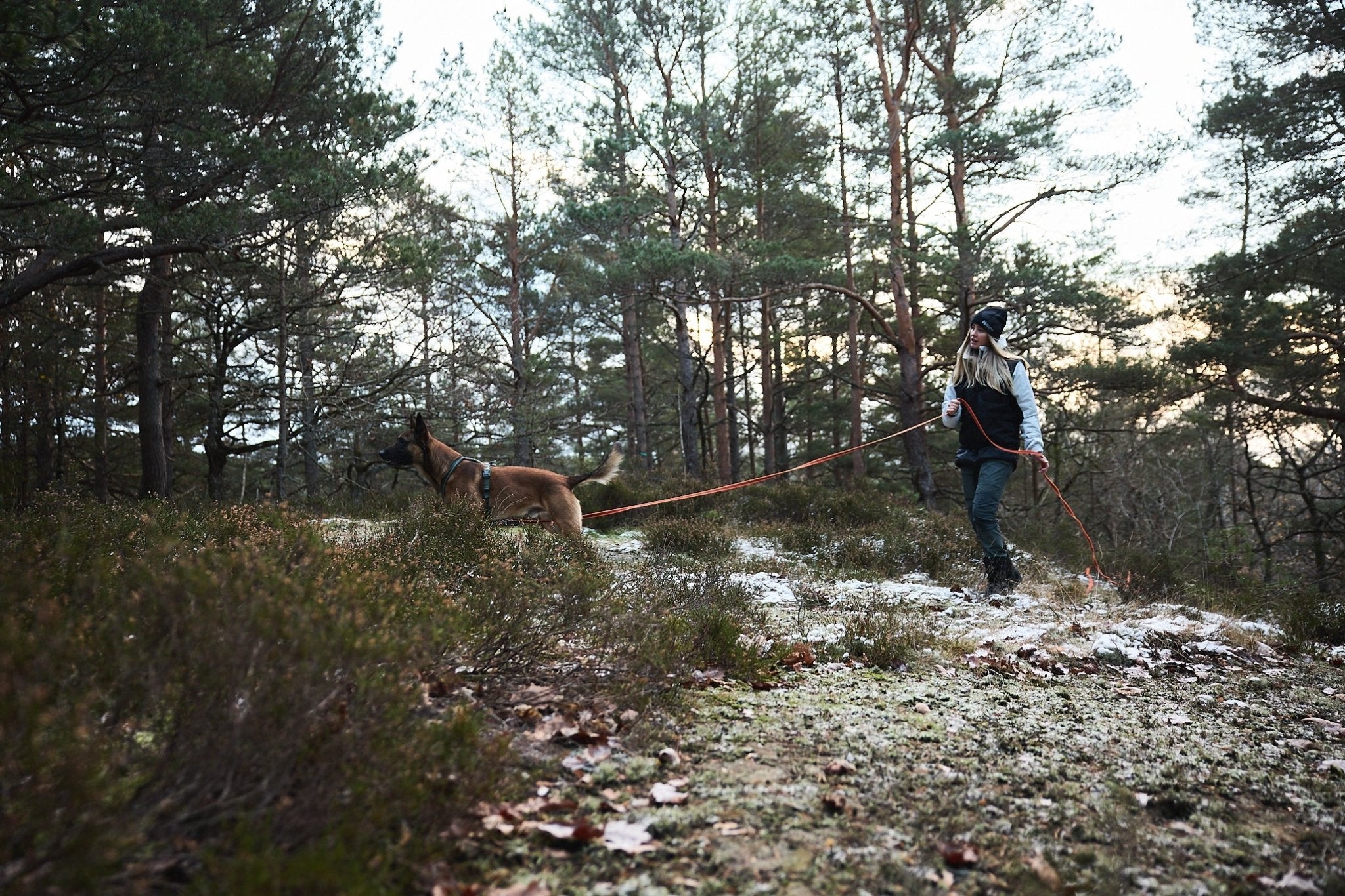 Non - stop Friction Long Line - A - Vet Shop