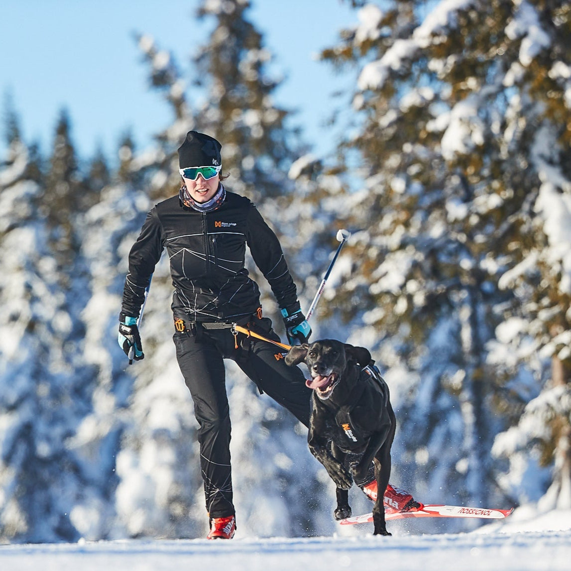 Non - stop Løype Belt - A - Vet Shop