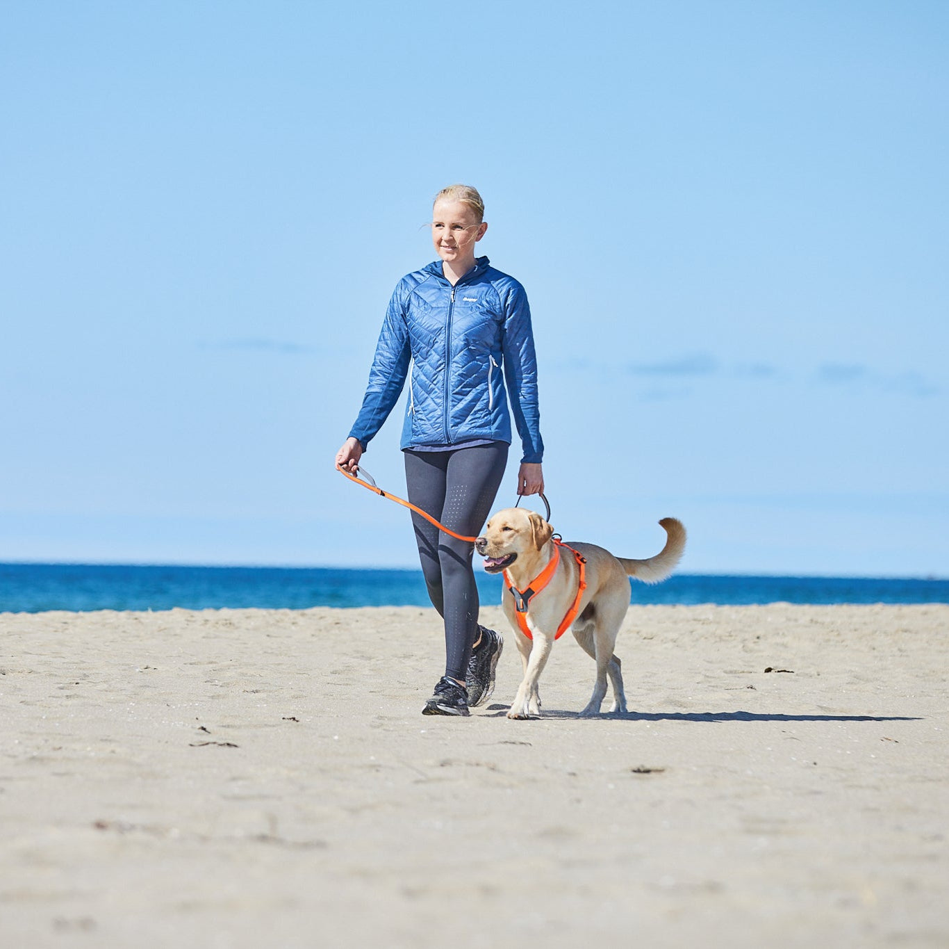 Non - stop Move Leash - A - Vet Shop