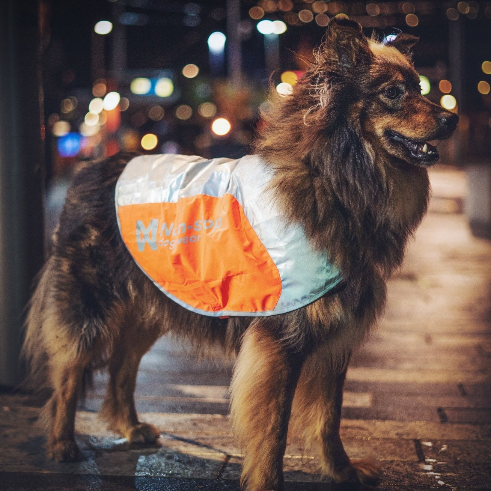 Non - stop Reflection Blanket - A - Vet Shop