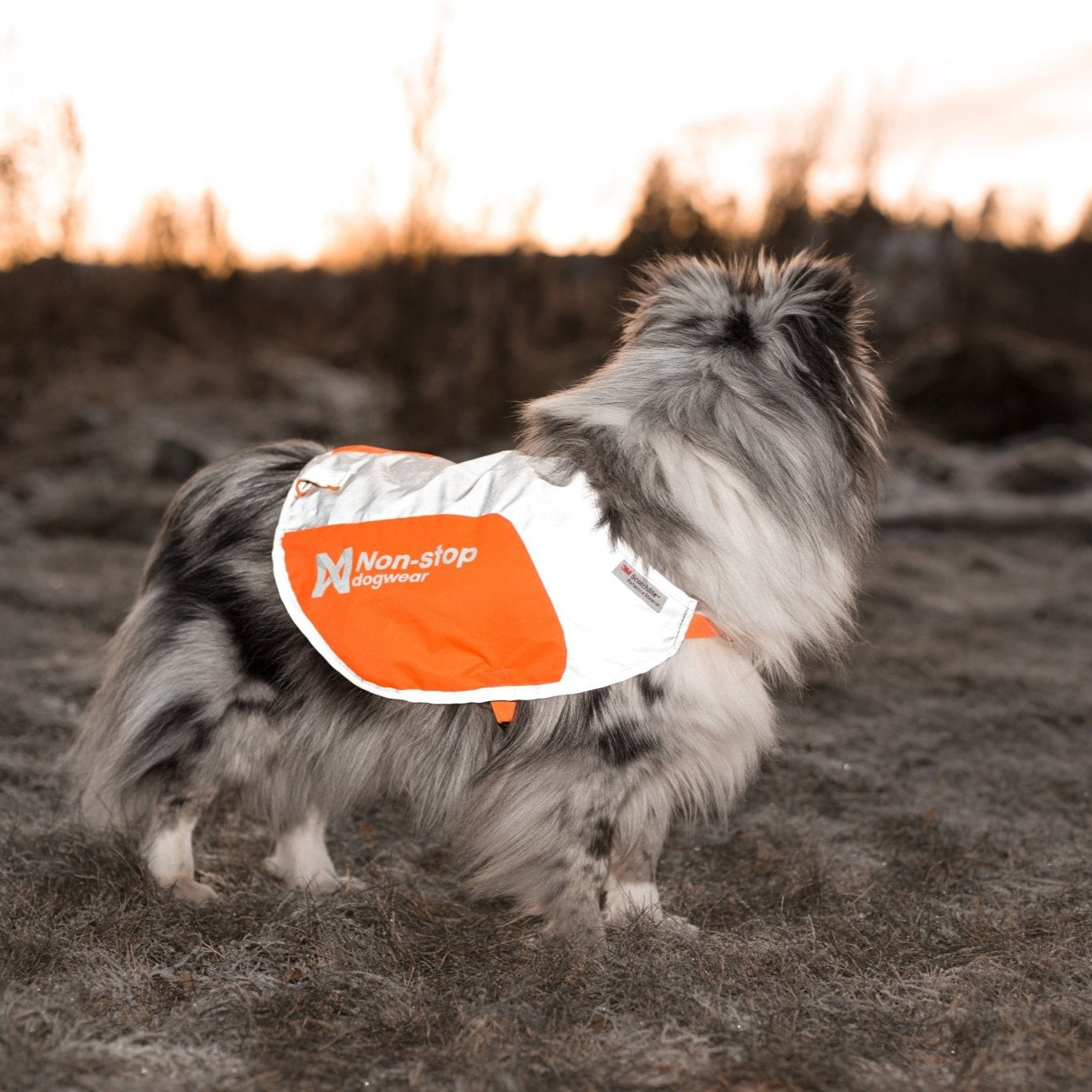 Non - stop Reflection Blanket - A - Vet Shop