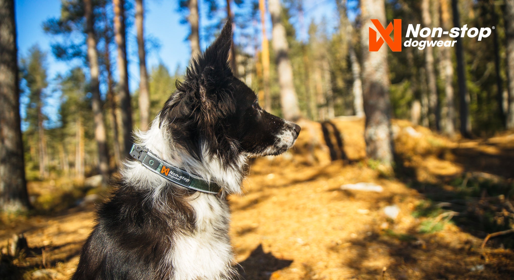 Non - stop Roam Collar - A - Vet Shop