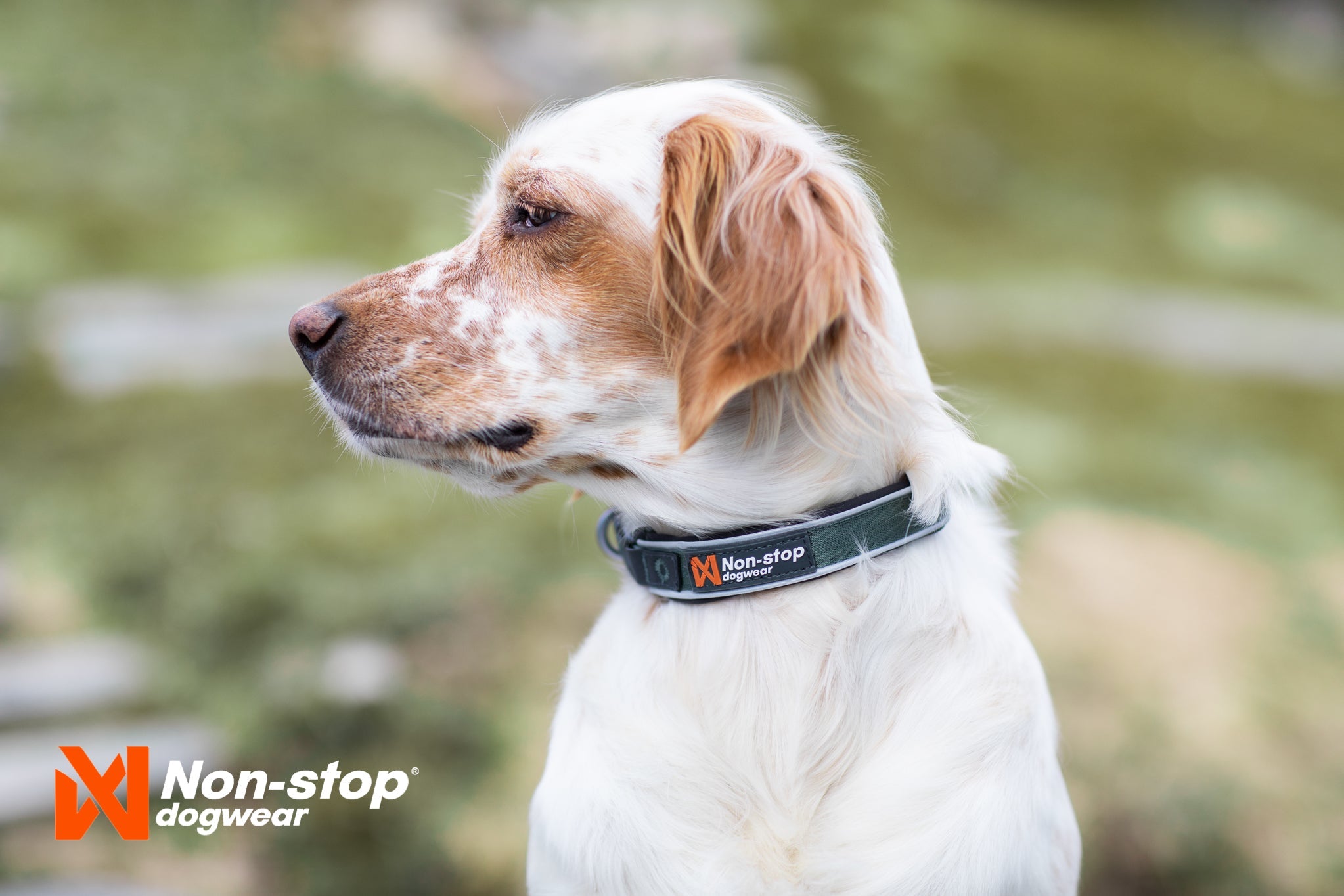Non - stop Roam Collar - A - Vet Shop