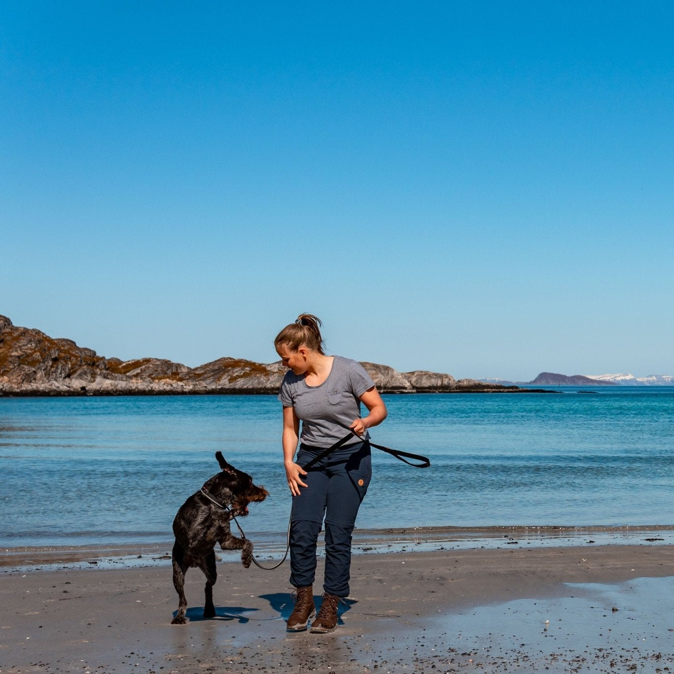 Non - stop Strong Leash - A - Vet Shop