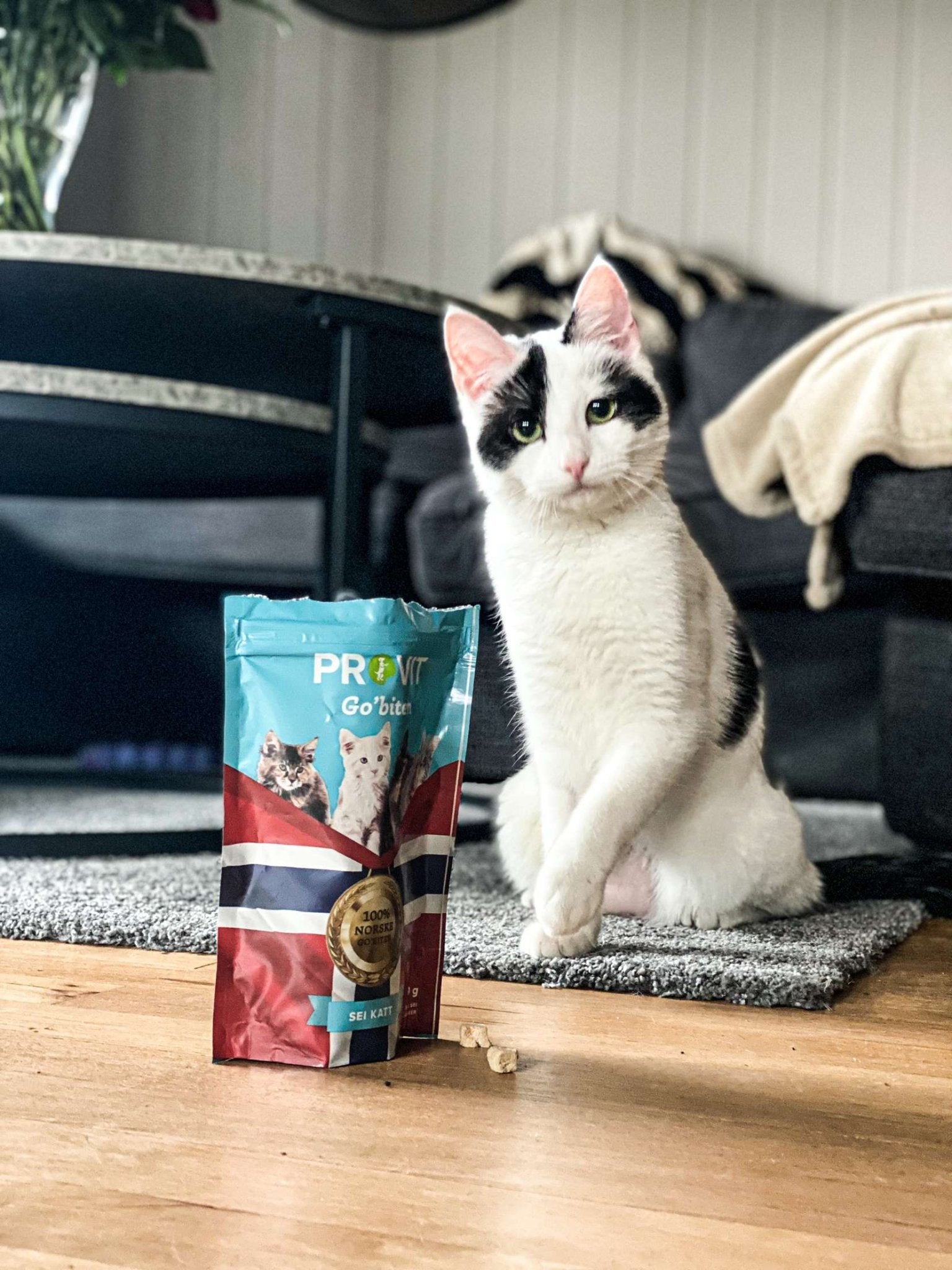 Provit Frysetørket Sei til Katt - A - Vet Shop