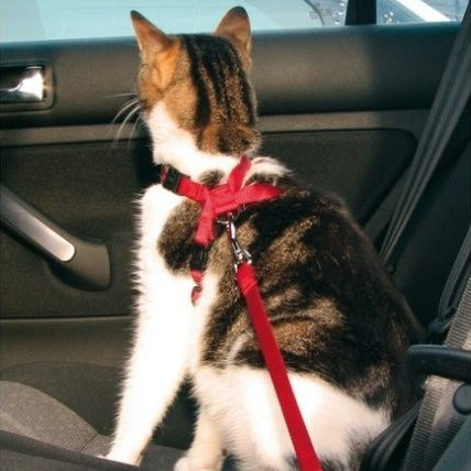 Trixie Sikkerhetsele - Katt - A - Vet Shop