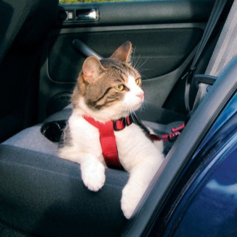 Trixie Sikkerhetsele - Katt - A - Vet Shop