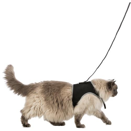 Trixie Soft Kattesele med refleks XXL - A - Vet Shop