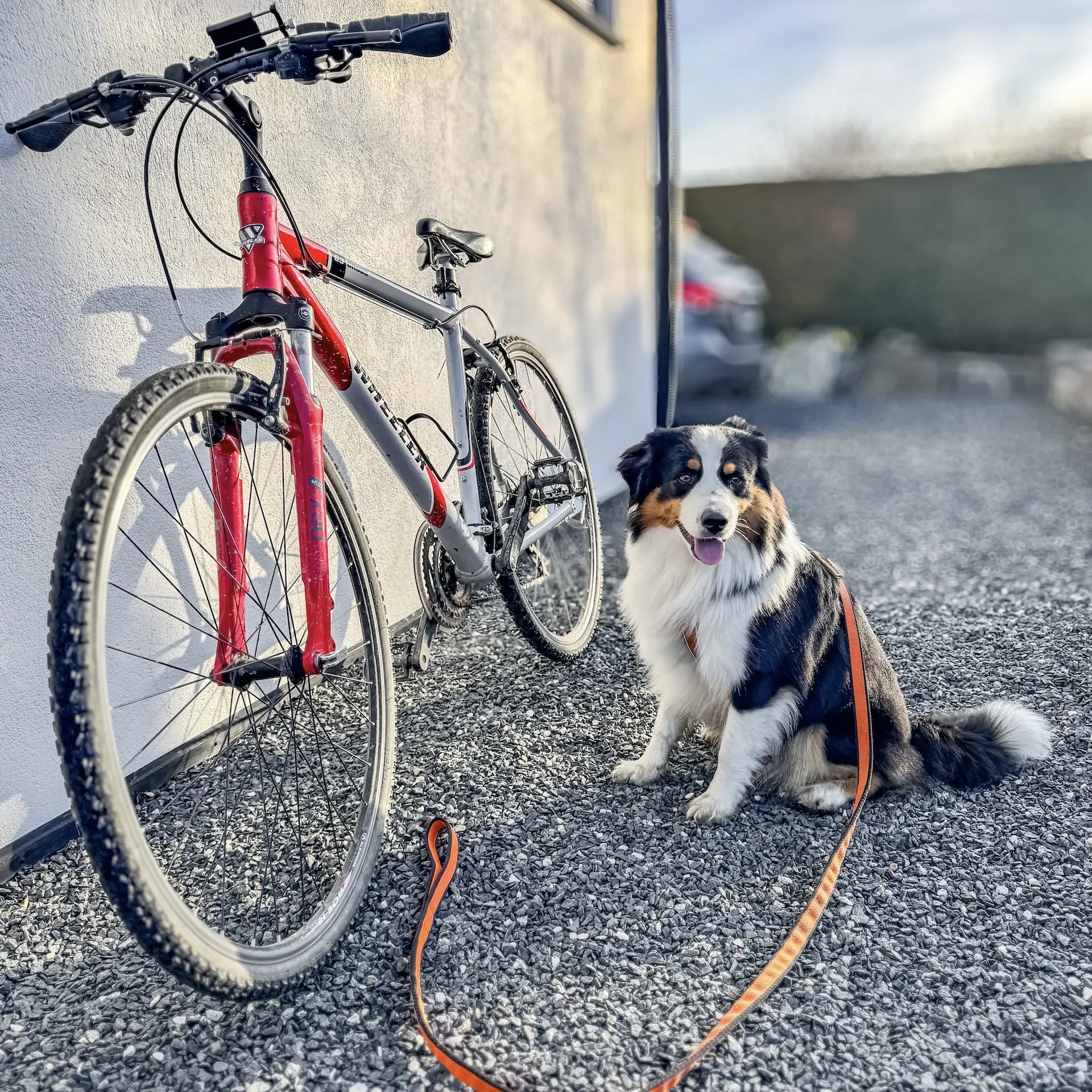 Melvin på sykkeltur